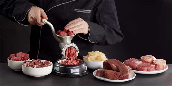 Complete Guide to Buying Meat Grinder